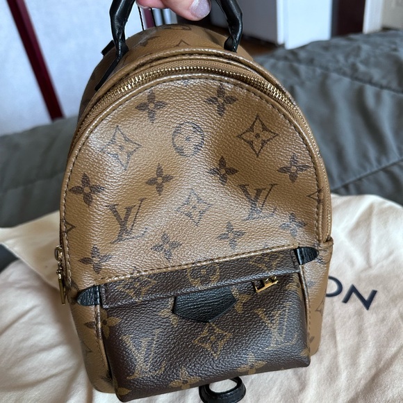 Louis Vuitton reverse monogram mini Palm Springs backpack - Picture 1 of 16